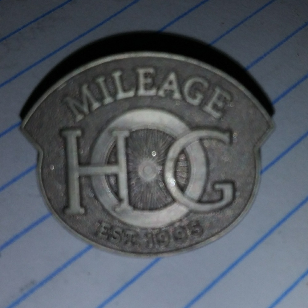 Harley Davidson owner vest pin